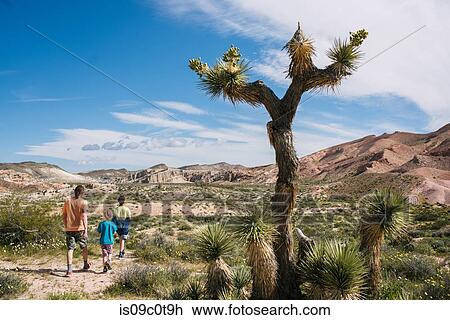 Father and children exploring nature reserve, Red Rock Canyon, Cantil, California, United States View Large Photo Image Stock Image - Father and children exploring nature reserve, Red Rock Canyon, Cantil, California, United States. Fotosearch