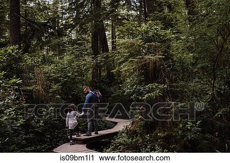 Father and daughter hiking in forest, Tofino, Canada View Large Photo Image Stock Image - Father and daughter hiking in forest, Tofino, Canada. Fotosearch