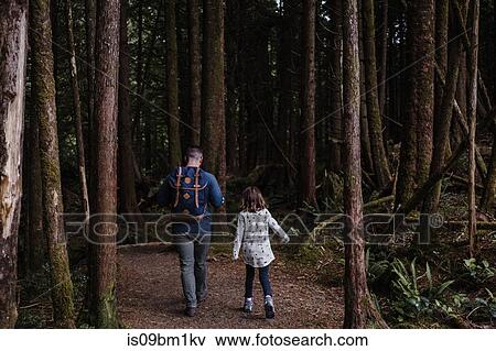 Father and daughter hiking in forest, Tofino, Canada View Large Photo Image Stock Photo - Father and daughter hiking in forest, Tofino, Canada. Fotosearch