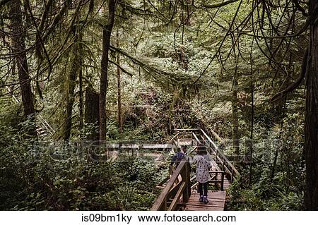 Father and daughter hiking in forest, Tofino, Canada View Large Photo Image Stock Photo - Father and daughter hiking in forest, Tofino, Canada. Fotosearch