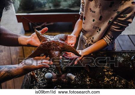 Stock Image - Father and daughter holding out starfish in aquarium. Fotosearch