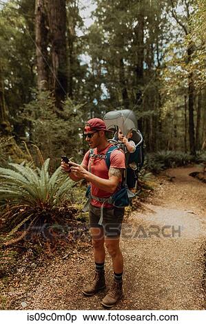 Father with baby exploring forest, Queenstown, Canterbury, New Zealand View Large Photo Image Stock Photography - Father with baby exploring forest, Queenstown, Canterbury, New Zealand. Fotosearch
