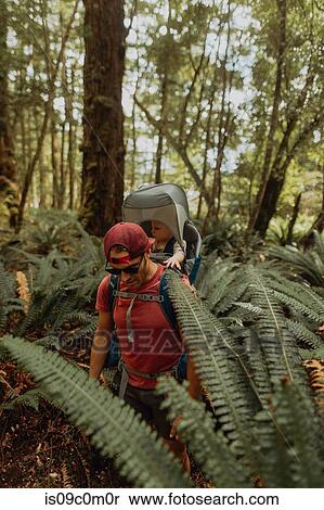 Father with baby exploring forest, Queenstown, Canterbury, New Zealand View Large Photo Image Stock Photography - Father with baby exploring forest, Queenstown, Canterbury, New Zealand. Fotosearch