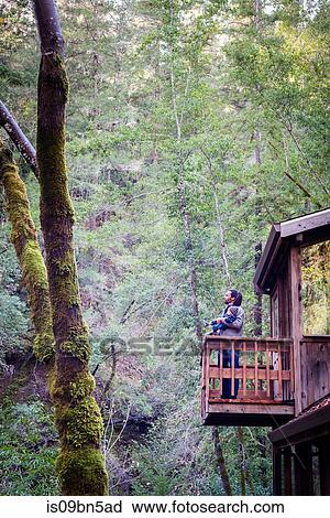 Father with baby son on balcony of stilted wooden house in forest, Cazadero, California, USA View Large Photo Image Stock Image - Father with baby son on balcony of stilted wooden house in forest, Cazadero, California, USA. Fotosearch