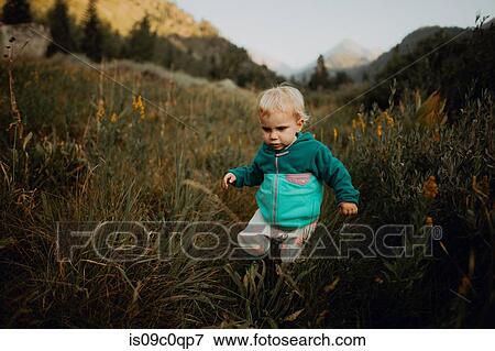 Stock Photo - Female toddler toddling amongst long grasses in rural valley, Mineral King, California, USA. Fotosearch