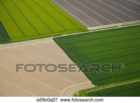 Fields with roads and ditches between them in spring, aerial view, Netherlands View Large Photo Image Stock Photo - Fields with roads and ditches between them in spring, aerial view, Netherlands. Fotosearch