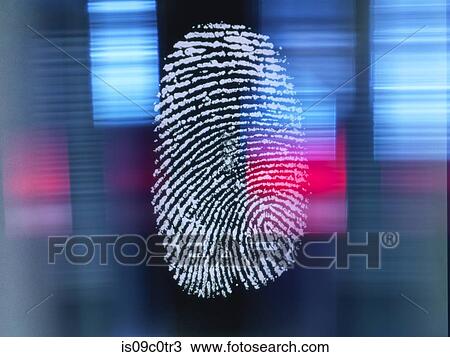Finger print on digital screen being scanned View Large Photo Image Stock Image - Finger print on digital screen being scanned. Fotosearch