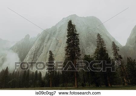 Fog covering mountains and forest, Yosemite National Park, California, United States View Large Photo Image Stock Photo - Fog covering mountains and forest, Yosemite National Park, California, United States. Fotosearch