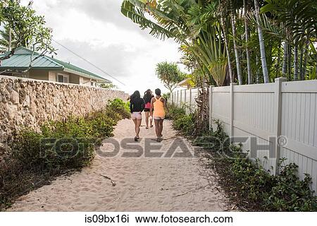 Friends walking on sandy path, Lanikai Beach, Oahu, Hawaii View Large Photo Image Stock Image - Friends walking on sandy path, Lanikai Beach, Oahu, Hawaii. Fotosearch