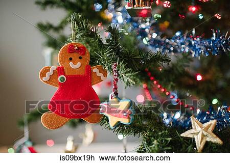 Stock Image - Gingerbread girl Christmas decoration on tree. Fotosearch