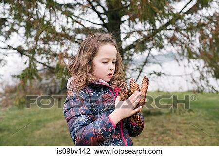 Girl admiring collection of brown pine cones, Kingston, Ontario, Canada View Large Photo Image Stock Image - Girl admiring collection of brown pine cones, Kingston, Ontario, Canada. Fotosearch