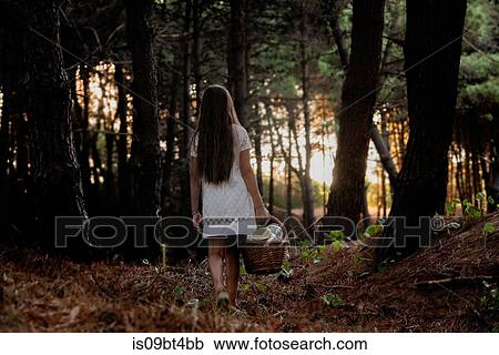 Girl carrying a picnic basket walking through dark forest, rear view View Large Photo Image Stock Image - Girl carrying a picnic basket walking through dark forest, rear view. Fotosearch