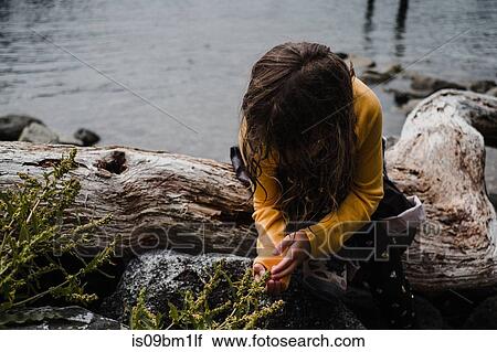 Girl discovering nature by sea, Tofino, Canada View Large Photo Image Stock Image - Girl discovering nature by sea, Tofino, Canada. Fotosearch