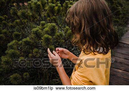 Girl discovering nature View Large Photo Image Stock Photography - Girl discovering nature. Fotosearch