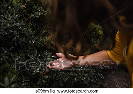 Girl discovering nature View Large Photo Image Stock Photography - Girl discovering nature. Fotosearch