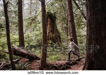 Girl hiking in forest, Tofino, Canada View Large Photo Image Stock Image - Girl hiking in forest, Tofino, Canada. Fotosearch