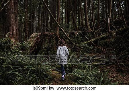 Girl hiking in forest, Tofino, Canada View Large Photo Image Stock Photo - Girl hiking in forest, Tofino, Canada. Fotosearch