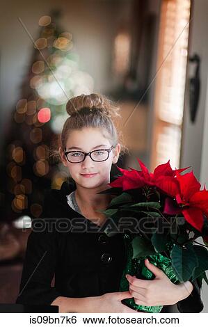 Girl holding christmas poinsettia in living room, portrait View Large Photo Image Stock Photograph - Girl holding christmas poinsettia in living room, portrait. Fotosearch
