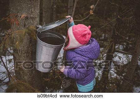 Girl in winter hat peering into forest tree bin View Large Photo Image Stock Image - Girl in winter hat peering into forest tree bin. Fotosearch