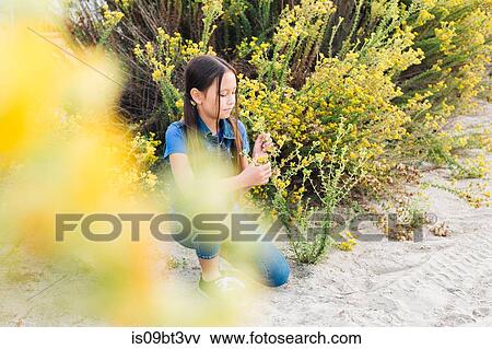 Girl kneeling to smell plant View Large Photo Image Stock Photo - Girl kneeling to smell plant. Fotosearch