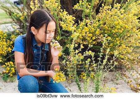Girl kneeling to smell plant View Large Photo Image Stock Photo - Girl kneeling to smell plant. Fotosearch