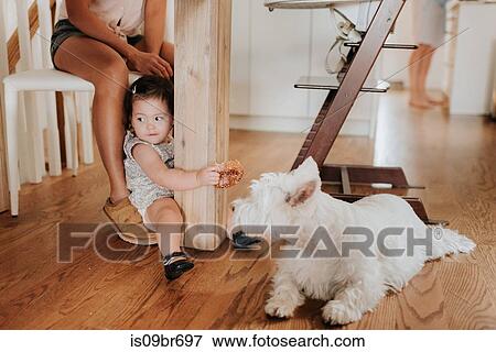 Girl sitting on floor near pet dog View Large Photo Image Stock Photo - Girl sitting on floor near pet dog. Fotosearch