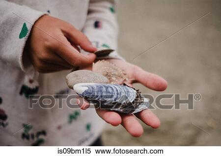 Girl with handful of sea shells View Large Photo Image Stock Photography - Girl with handful of sea shells. Fotosearch