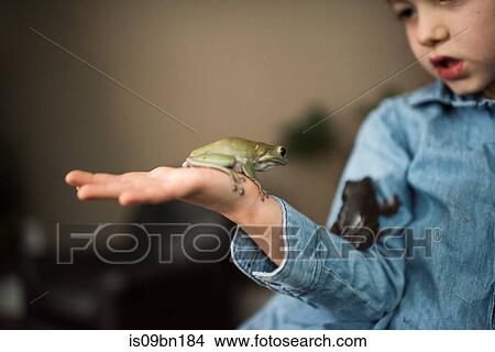 Girl with pet frogs View Large Photo Image Picture - Girl with pet frogs. Fotosearch