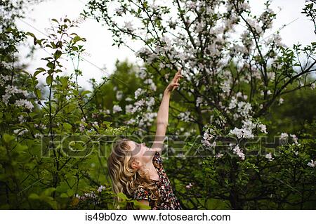 Girl with wavy blond hair reaching up to tree blossom View Large Photo Image Picture - Girl with wavy blond hair reaching up to tree blossom. Fotosearch