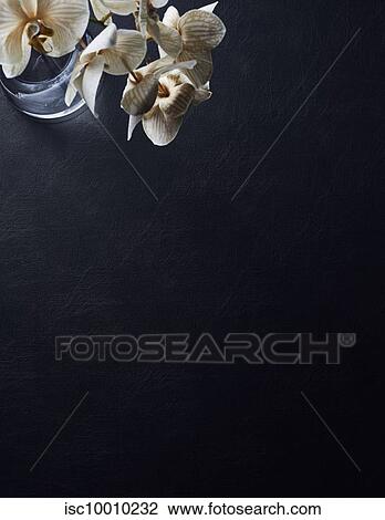 Glass of orchids on black table View Large Photo Image Stock Image - Glass of orchids on black table. Fotosearch