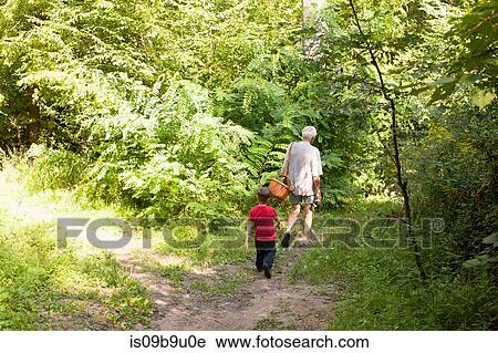 Grandfather and grandson mushroom hunting in forest, Prievidza, Banska Bystrica, Slovak Republic View Large Photo Image Stock Image - Grandfather and grandson mushroom hunting in forest, Prievidza, Banska Bystrica, Slovak Republic. Fotosearch