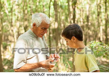Grandfather and grandson mushroom hunting in forest, Prievidza, Banska Bystrica, Slovak Republic View Large Photo Image Stock Image - Grandfather and grandson mushroom hunting in forest, Prievidza, Banska Bystrica, Slovak Republic. Fotosearch