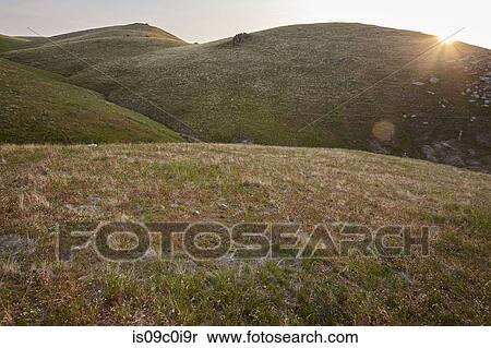 Stock Photography - Grassy landscape, mountains in background, Tehachapi, California, United States. Fotosearch