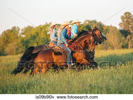 Group of people riding horses in field View Large Photo Image Stock Photo - Group of people riding horses in field. Fotosearch