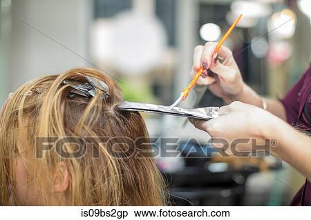 Hairdresser colouring customer's hair in salon View Large Photo Image Stock Photography - Hairdresser colouring customer's hair in salon. Fotosearch