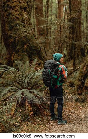 Stock Photo - Hiker exploring forest, Queenstown, Canterbury, New Zealand. Fotosearch