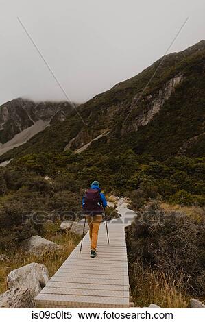 Hiker exploring trail, Wanaka, Taranaki, New Zealand View Large Photo Image Stock Photography - Hiker exploring trail, Wanaka, Taranaki, New Zealand. Fotosearch
