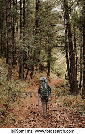 Hiker in forest, Annapurna Circuit, the Himalayas, Tatopani, Nepal View Large Photo Image Stock Photo - Hiker in forest, Annapurna Circuit, the Himalayas, Tatopani, Nepal. Fotosearch