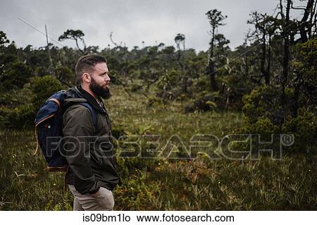 Hiker in forest, Tofino, Canada View Large Photo Image Picture - Hiker in forest, Tofino, Canada. Fotosearch