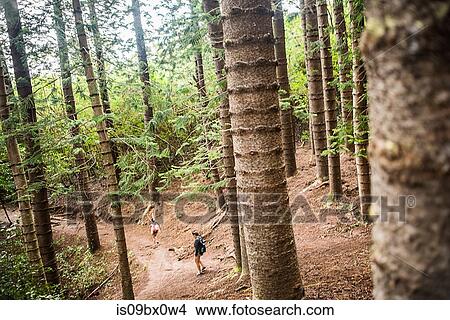 Hiker on Kuilau Ridge Trail, Kauai, Hawaii View Large Photo Image Picture - Hiker on Kuilau Ridge Trail, Kauai, Hawaii. Fotosearch