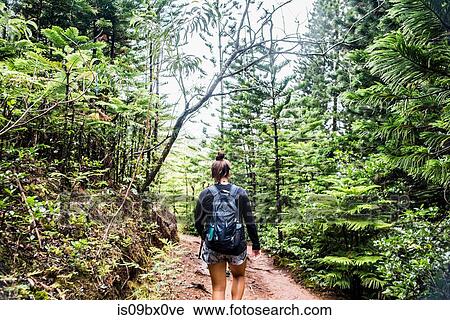 Hiker on Sleeping Giant Trail, Kauai, Hawaii View Large Photo Image Stock Image - Hiker on Sleeping Giant Trail, Kauai, Hawaii. Fotosearch