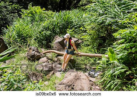 Stock Photograph - Hiker resting on log, Waipipi Trail, Maui, Hawaii. Fotosearch