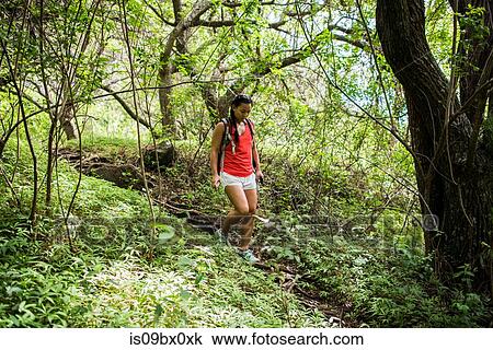 Stock Image - Hiker walking in rainforest, Iao Valley, Maui, Hawaii. Fotosearch