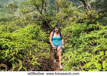 Stock Photo - Hiker walking in rainforest, Iao Valley, Maui, Hawaii. Fotosearch