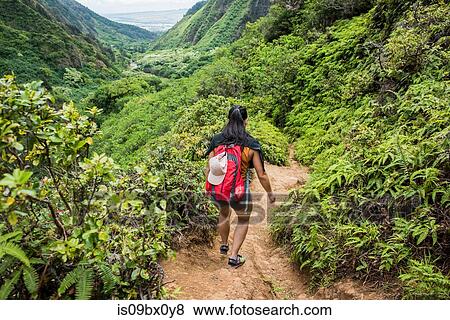Stock Photo - Hiker walking in rainforest, Iao Valley, Maui, Hawaii. Fotosearch