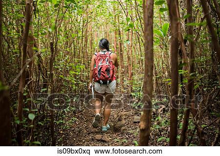 Hiker walking in rainforest, Iao Valley, Maui, Hawaii View Large Photo Image Stock Photography - Hiker walking in rainforest, Iao Valley, Maui, Hawaii. Fotosearch