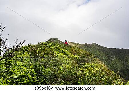 Stock Photo - Hiker walking in rainforest, Moanalua Valley Trail, Oahu, Hawaii. Fotosearch