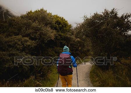 Hiker walking on trail path, Wanaka, Taranaki, New Zealand View Large Photo Image Stock Photo - Hiker walking on trail path, Wanaka, Taranaki, New Zealand. Fotosearch