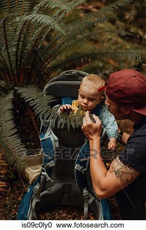 Hiker with baby exploring forest, Queenstown, Canterbury, New Zealand View Large Photo Image Stock Image - Hiker with baby exploring forest, Queenstown, Canterbury, New Zealand. Fotosearch