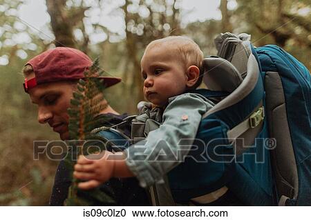 Stock Image - Hiker with baby exploring forest, Queenstown, Canterbury, New Zealand. Fotosearch